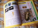 20070717.jpg