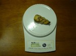 20040217.jpg