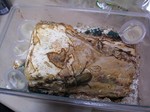 20051223.jpg