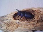 20060716.jpg