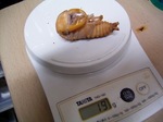 20080510.jpg