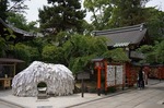 m-DSC00438.jpg