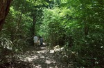 s-GR045246.jpg